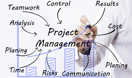 Einführung einer Systemlösung für Multi-Projektmanagement Office in der Firma Double Skill zur weiteren Steigerung der Transparenz der Projektlandschaft